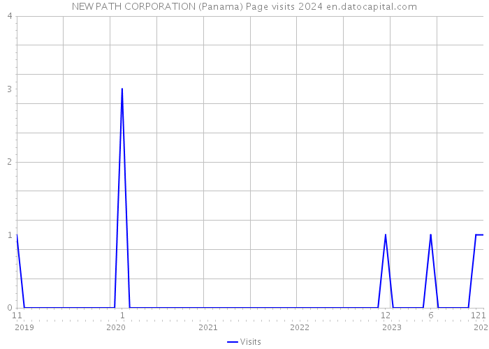 NEW PATH CORPORATION (Panama) Page visits 2024 