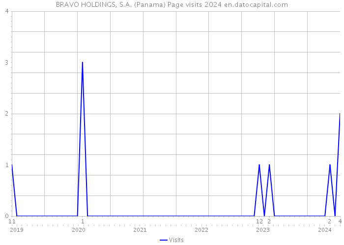 BRAVO HOLDINGS, S.A. (Panama) Page visits 2024 