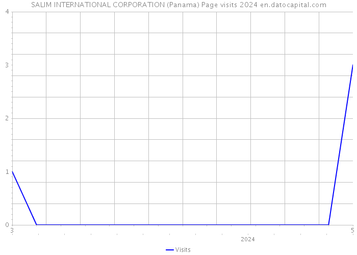 SALIM INTERNATIONAL CORPORATION (Panama) Page visits 2024 