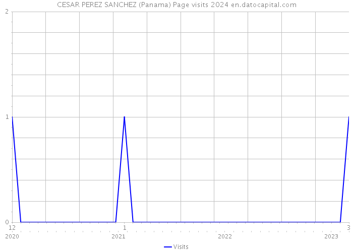 CESAR PEREZ SANCHEZ (Panama) Page visits 2024 