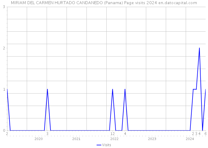 MIRIAM DEL CARMEN HURTADO CANDANEDO (Panama) Page visits 2024 
