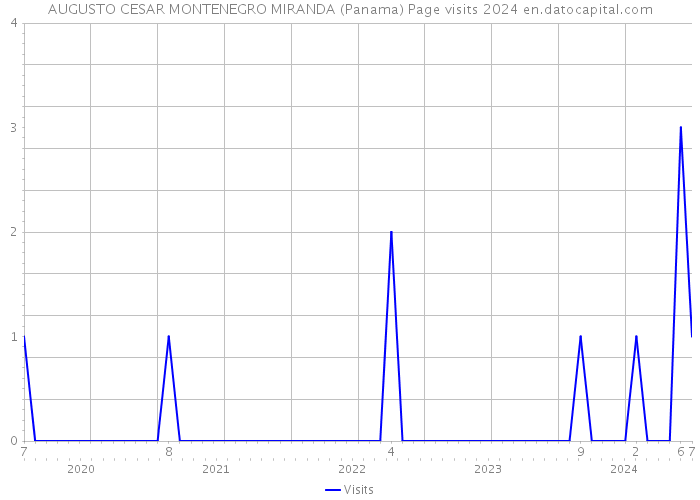 AUGUSTO CESAR MONTENEGRO MIRANDA (Panama) Page visits 2024 