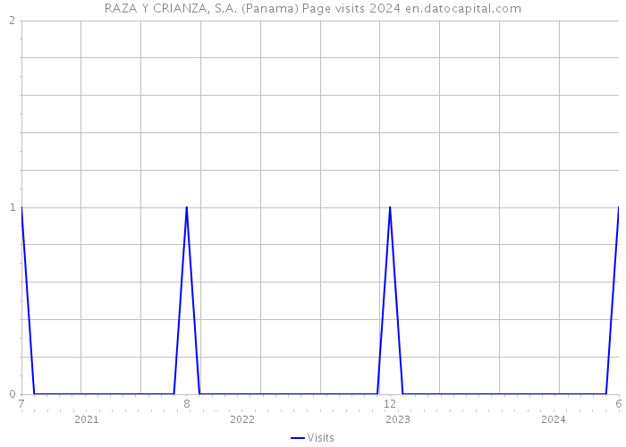 RAZA Y CRIANZA, S.A. (Panama) Page visits 2024 