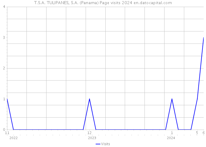 T.S.A. TULIPANES, S.A. (Panama) Page visits 2024 