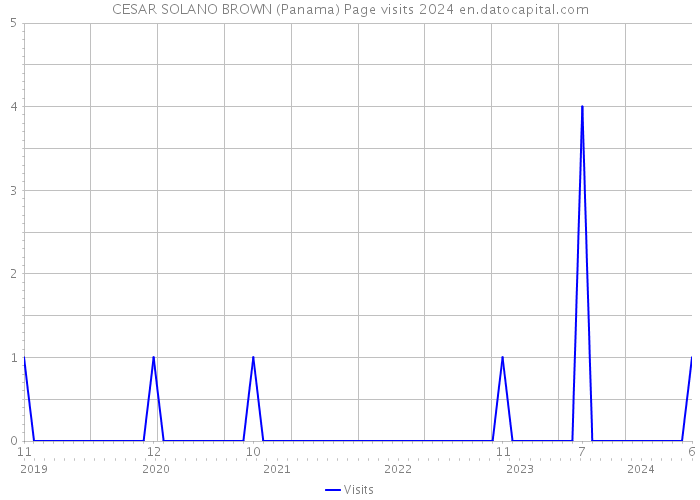 CESAR SOLANO BROWN (Panama) Page visits 2024 