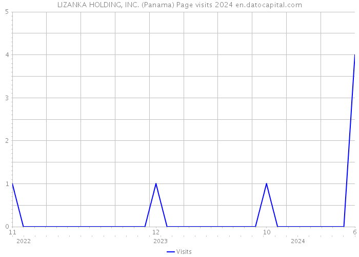 LIZANKA HOLDING, INC. (Panama) Page visits 2024 