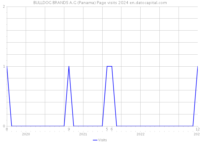 BULLDOG BRANDS A.G (Panama) Page visits 2024 
