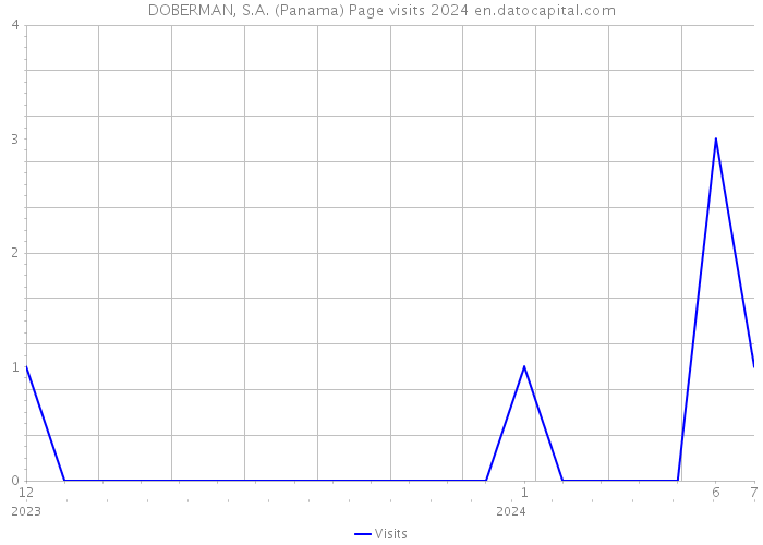 DOBERMAN, S.A. (Panama) Page visits 2024 