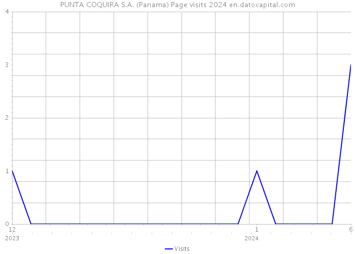 PUNTA COQUIRA S.A. (Panama) Page visits 2024 