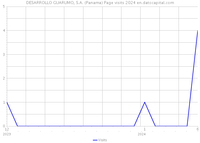 DESARROLLO GUARUMO, S.A. (Panama) Page visits 2024 