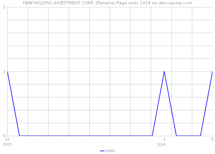 NEW HOLDING INVESTMENT CORP. (Panama) Page visits 2024 
