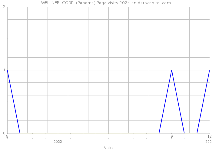 WELLNER, CORP. (Panama) Page visits 2024 