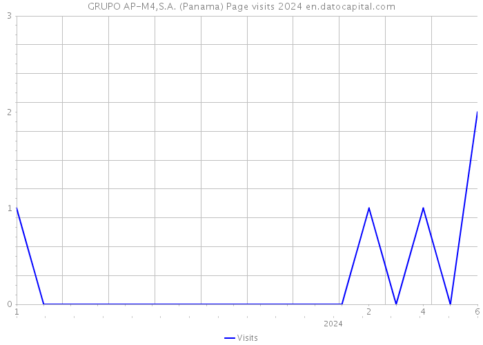 GRUPO AP-M4,S.A. (Panama) Page visits 2024 