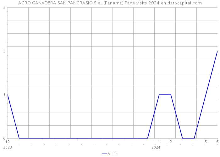 AGRO GANADERA SAN PANCRASIO S.A. (Panama) Page visits 2024 