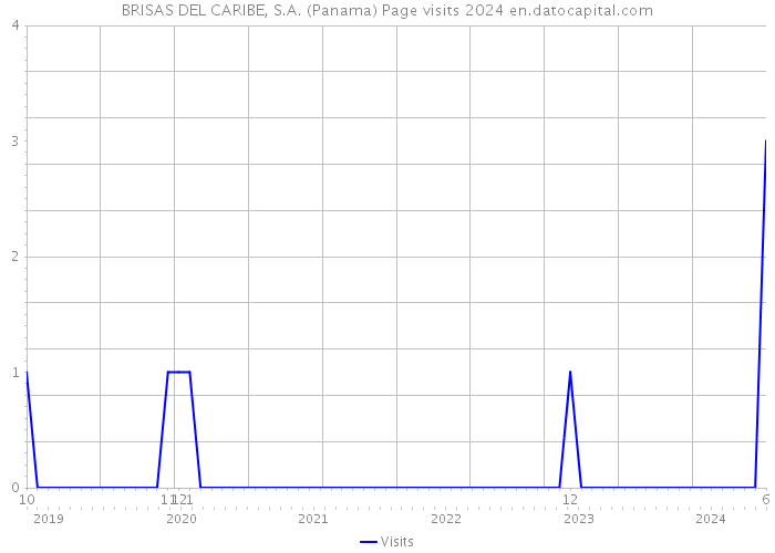 BRISAS DEL CARIBE, S.A. (Panama) Page visits 2024 