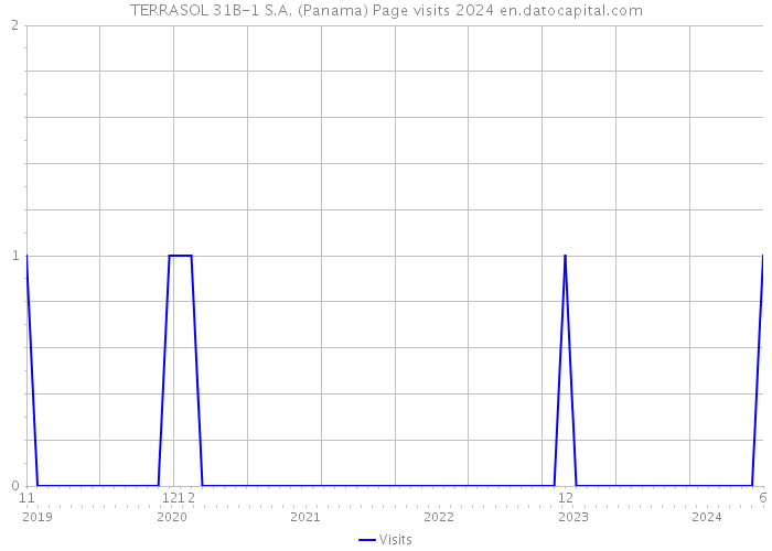 TERRASOL 31B-1 S.A. (Panama) Page visits 2024 