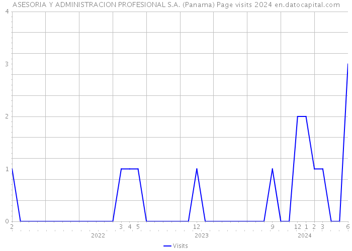 ASESORIA Y ADMINISTRACION PROFESIONAL S.A. (Panama) Page visits 2024 