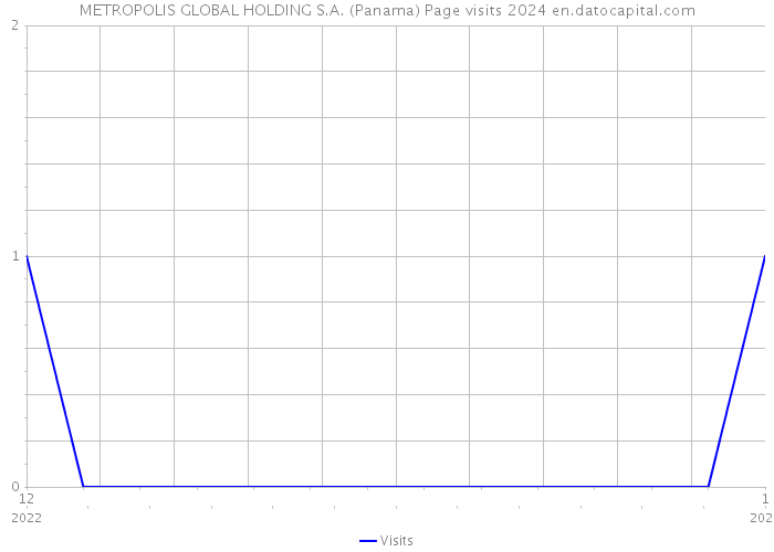 METROPOLIS GLOBAL HOLDING S.A. (Panama) Page visits 2024 