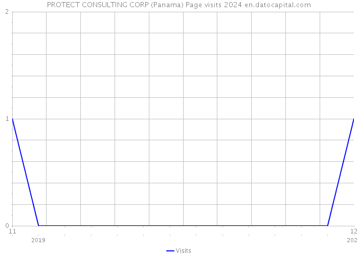 PROTECT CONSULTING CORP (Panama) Page visits 2024 