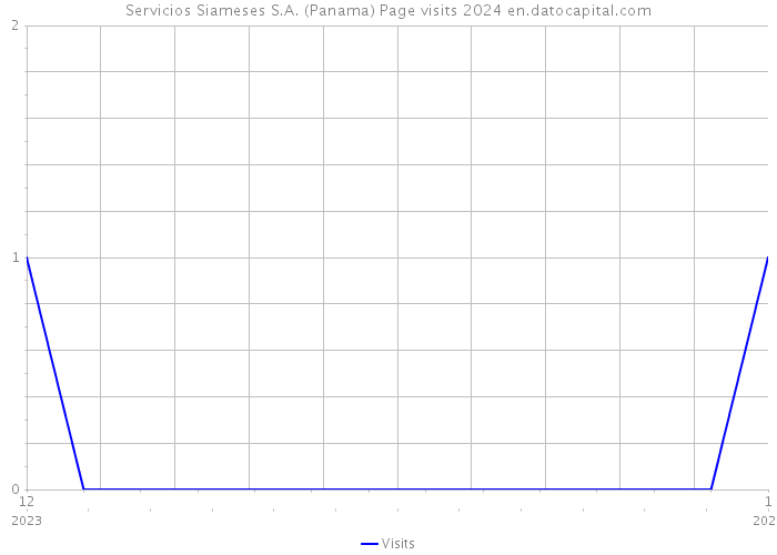 Servicios Siameses S.A. (Panama) Page visits 2024 
