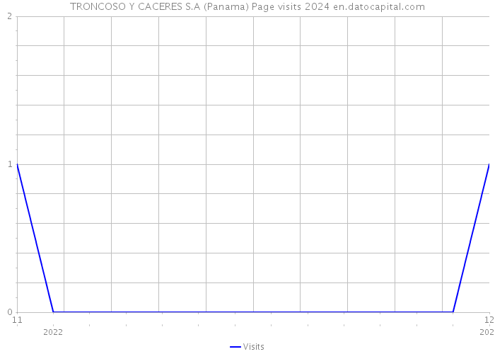 TRONCOSO Y CACERES S.A (Panama) Page visits 2024 