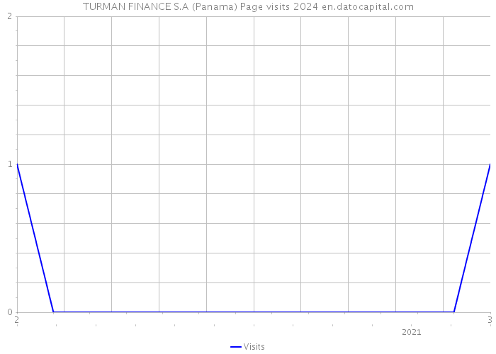 TURMAN FINANCE S.A (Panama) Page visits 2024 