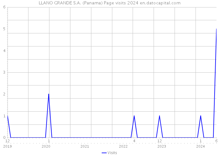 LLANO GRANDE S.A. (Panama) Page visits 2024 