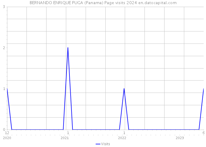 BERNANDO ENRIQUE PUGA (Panama) Page visits 2024 