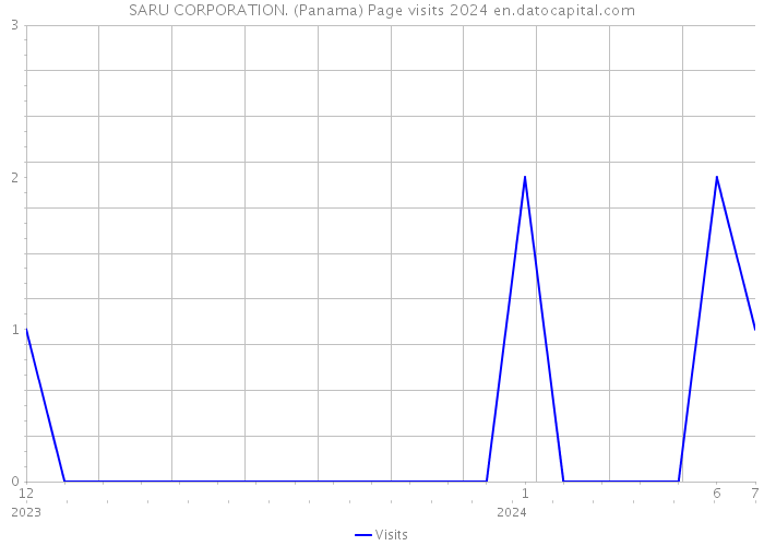 SARU CORPORATION. (Panama) Page visits 2024 