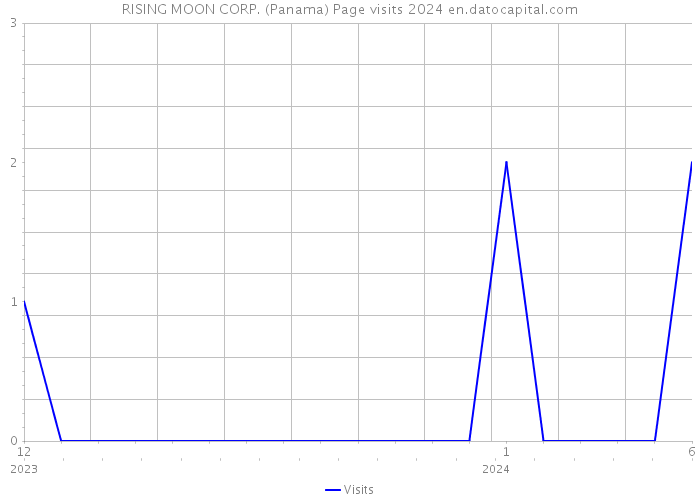 RISING MOON CORP. (Panama) Page visits 2024 