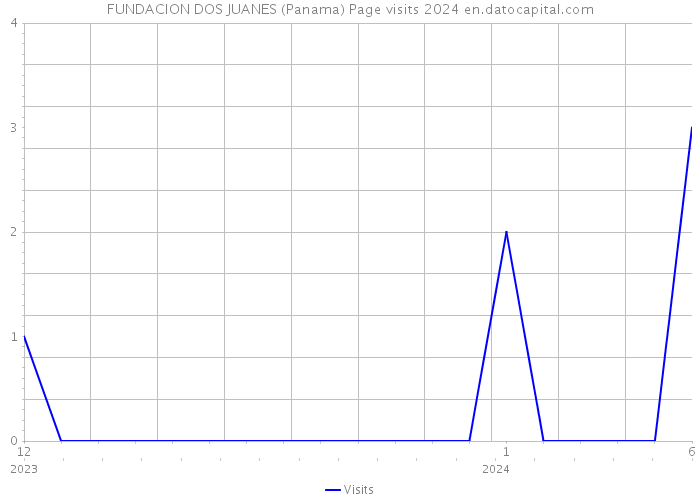 FUNDACION DOS JUANES (Panama) Page visits 2024 