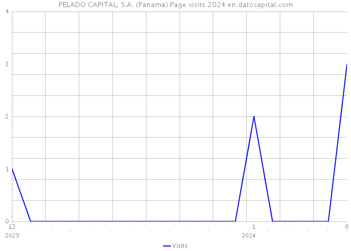 PELADO CAPITAL, S.A. (Panama) Page visits 2024 