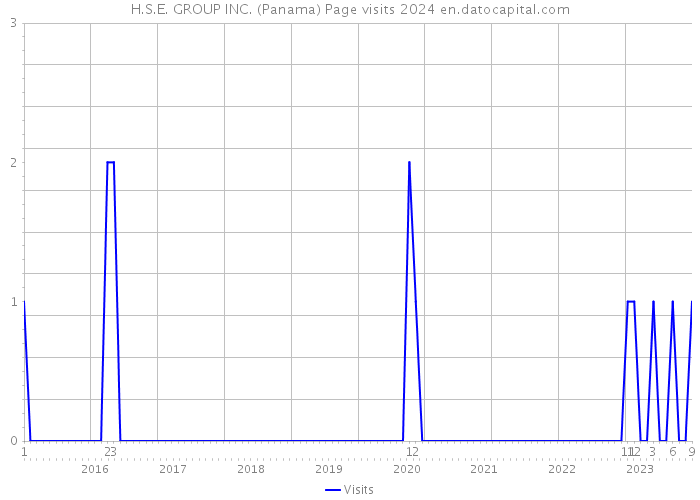H.S.E. GROUP INC. (Panama) Page visits 2024 