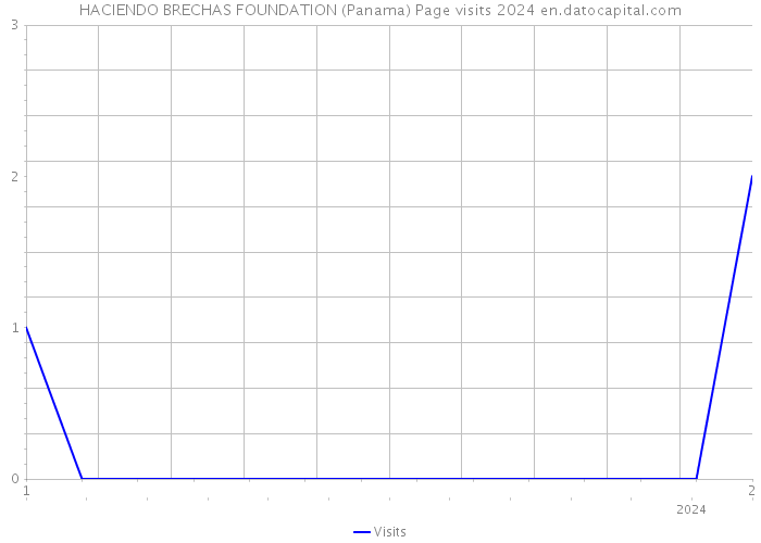 HACIENDO BRECHAS FOUNDATION (Panama) Page visits 2024 