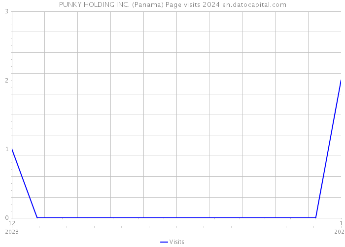 PUNKY HOLDING INC. (Panama) Page visits 2024 