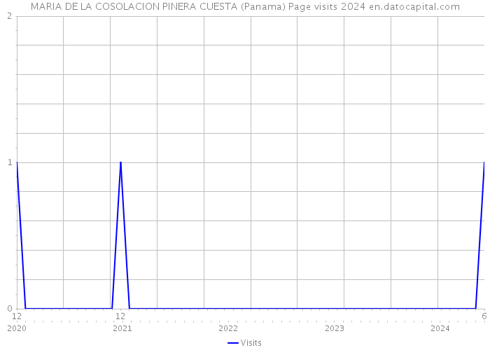 MARIA DE LA COSOLACION PINERA CUESTA (Panama) Page visits 2024 