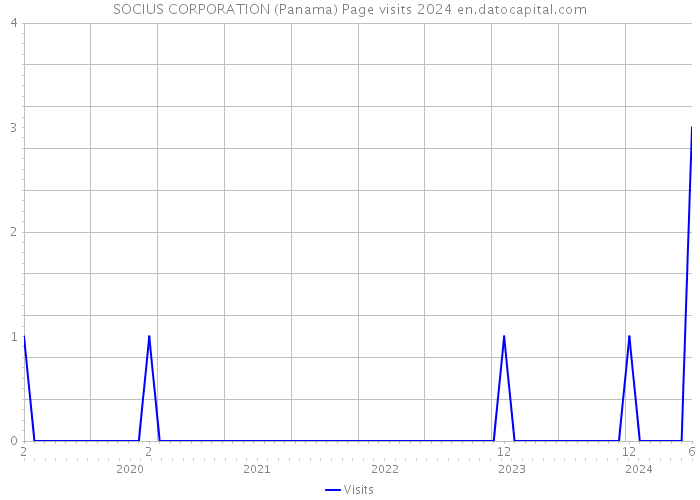 SOCIUS CORPORATION (Panama) Page visits 2024 