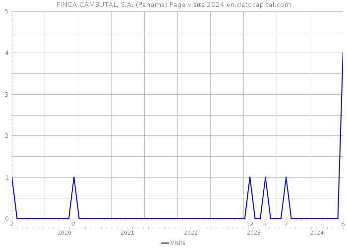 FINCA CAMBUTAL, S.A. (Panama) Page visits 2024 