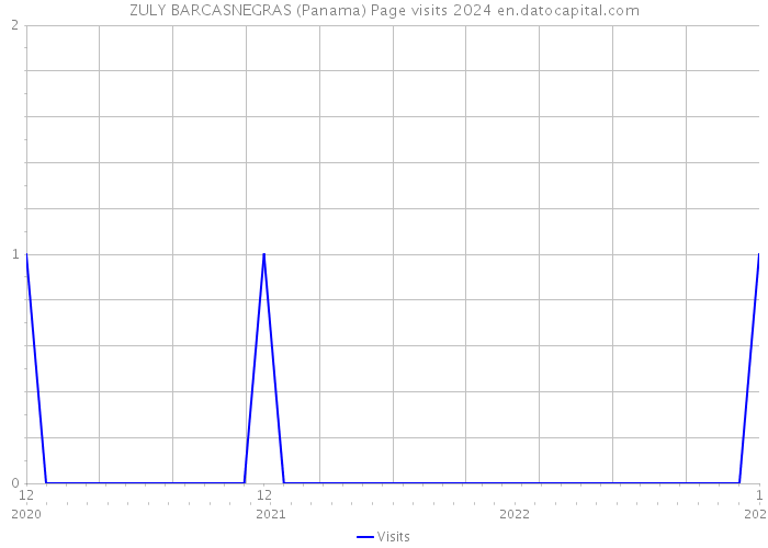 ZULY BARCASNEGRAS (Panama) Page visits 2024 