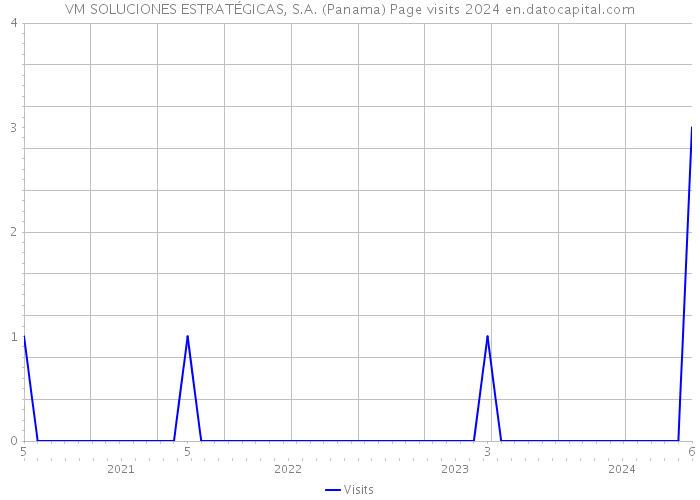 VM SOLUCIONES ESTRATÉGICAS, S.A. (Panama) Page visits 2024 