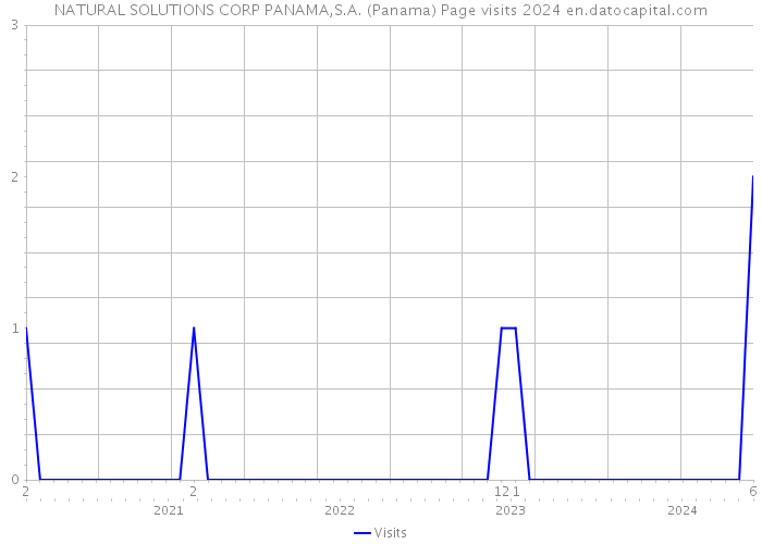 NATURAL SOLUTIONS CORP PANAMA,S.A. (Panama) Page visits 2024 