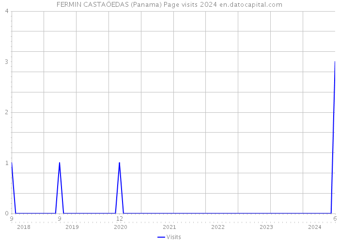 FERMIN CASTAÖEDAS (Panama) Page visits 2024 