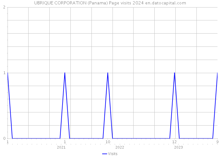 UBRIQUE CORPORATION (Panama) Page visits 2024 