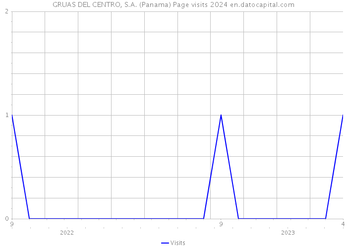 GRUAS DEL CENTRO, S.A. (Panama) Page visits 2024 