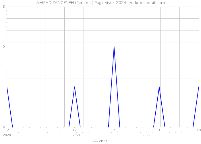AHMAD ZANGENEH (Panama) Page visits 2024 