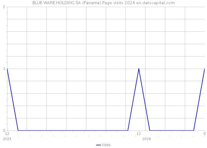BLUE WARE HOLDING SA (Panama) Page visits 2024 