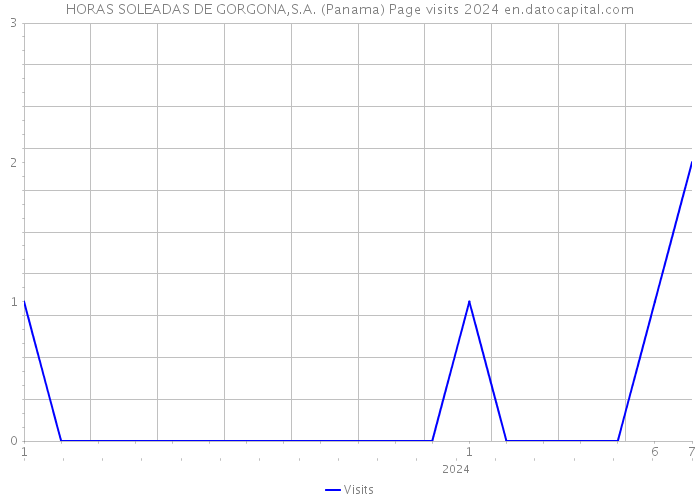 HORAS SOLEADAS DE GORGONA,S.A. (Panama) Page visits 2024 