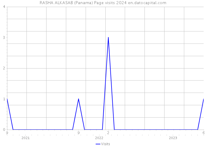 RASHA ALKASAB (Panama) Page visits 2024 