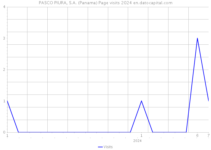 PASCO PIURA, S.A. (Panama) Page visits 2024 