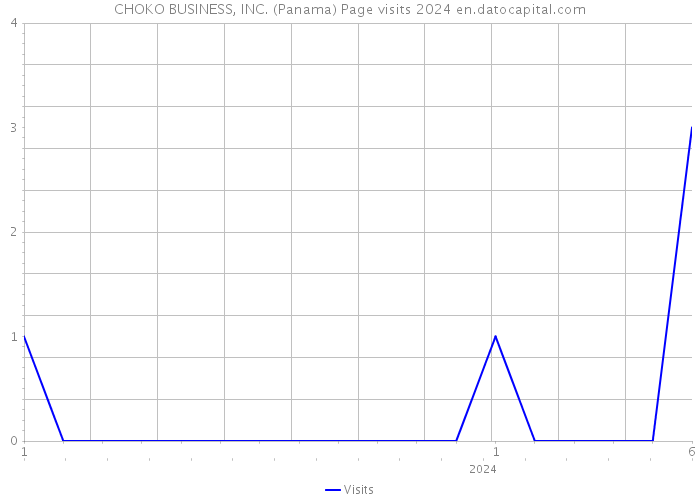 CHOKO BUSINESS, INC. (Panama) Page visits 2024 